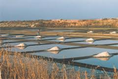 The cultivation and harvest of Celtic Sea Salt©.