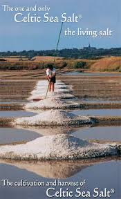 The cultivation and harvest of Celtic Sea Salt©